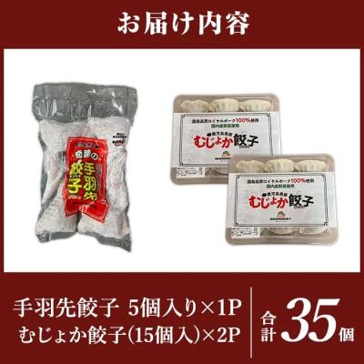 ふるさと納税 霧島市 餃子2種セット(手羽先餃子5個・むじょか餃子 計35個)【MAGONIMO餃子】285-C |  | 01
