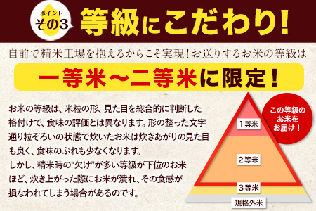 無洗米 令和7年産 ひのひかり 森のくまさん 20kg ｜ 無洗