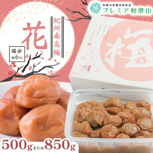 【ふるさと納税】梅干し 紀州南高梅 花 塩分 約6% 500g 850g 1パック 《60日以内に出荷予定(土日祝除く)》 株式会社やまだ 和歌山県 日高町 梅 塩 うす塩 梅干し 米 おかず 国産 送料無料