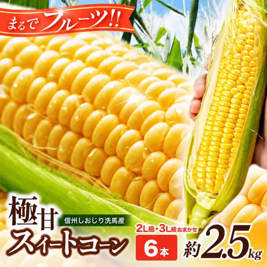 極甘スイートコーン 2L級・3L級おまかせ6本 約2.5kg （高原野菜の名産地　信州しおじり洗馬産）【8月10日～15日頃に出荷予定※不在日対応不可※】