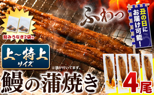 〈スピード出荷〉うなぎ 国産 鰻の蒲焼 4尾 + きざみうなぎ 30g×2袋 上～特上サイズ《3-7営業日以内に出荷(土日祝除く)》| うなぎ 蒲焼 国産 うなぎ 小分け うなぎ 国産 うなぎ 父の日 うなぎ 母の日ギフト うなぎ 簡易包装 送料無料 徳島県 上板町