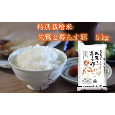 ふるさと納税 佐渡市 【毎月定期便】特別栽培米佐渡産コシヒカリ・朱鷺と暮らす郷5kg全12回