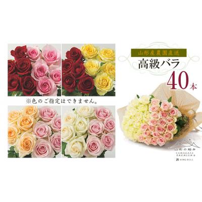 ふるさと納税 山形市 山形産農園直送高級バラ 40本 FZ26-742