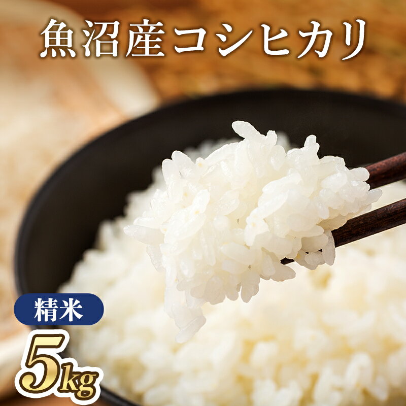 【ふるさと納税】【令和7年産】魚沼産コシヒカリ(精米)5kg