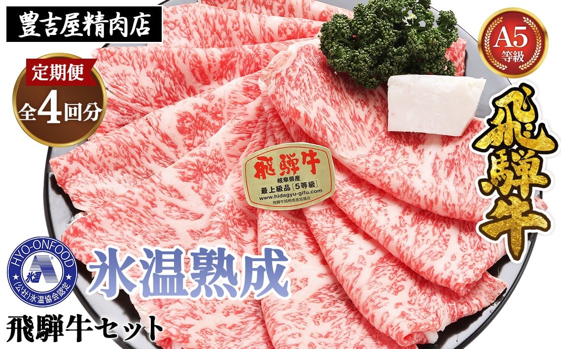 
【3ヵ月毎定期便】氷温（R）熟成飛騨牛セット　全4回 [No.902] ／ お肉 冷凍 旨み 岐阜県
