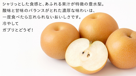 豊水 梨 10kg （18～24玉）【2026年9月より発送開始】（茨城県共通返礼品 [梨]：大子町産）