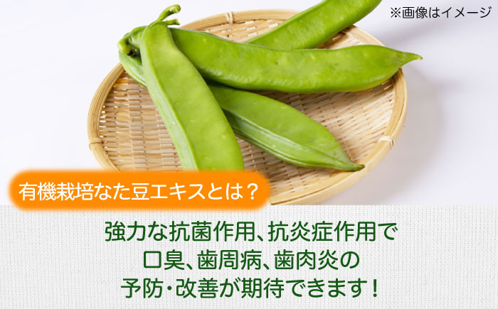 自然由来成分でお口スッキリ！なた豆＆柿渋　歯磨き粉　120ｇ×2本セット　ハミガキ粉 歯ブラシ オーラルケア 口腔ケア 歯周病予防 愛媛県大洲市/サンユー商店 [AGCS001] お正月 クリスマス