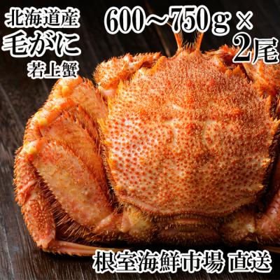 ふるさと納税 根室市 根室海鮮市場<直送>ボイル毛がに600〜750g×2尾(若上蟹) F-28033
