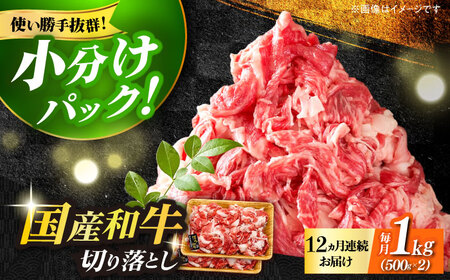 【全12回定期便】国産和牛 切り落とし 1kg [ABBP029]  牛肉 切り落とし
