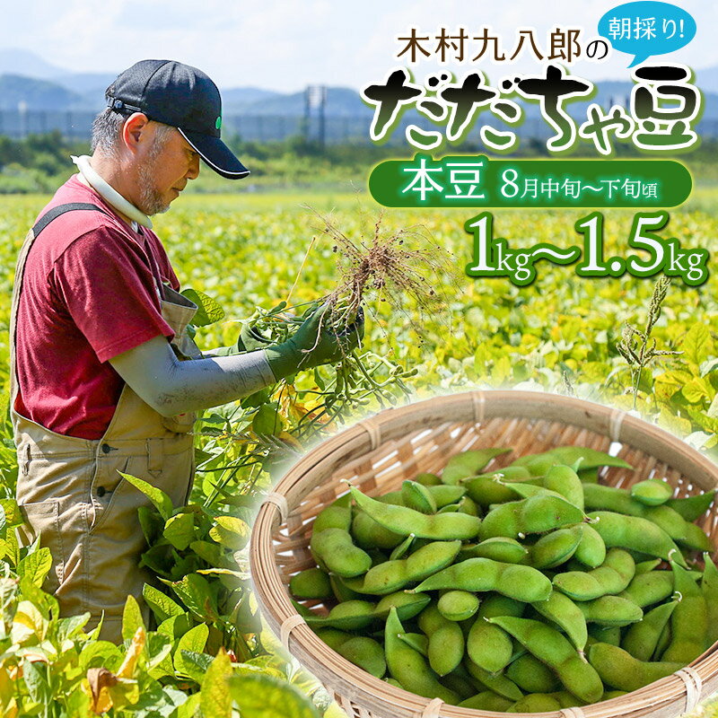 【ふるさと納税】【令和8年産先行予約】木村九八郎の朝採り！新鮮！だだちゃ豆 【本豆（8月中旬～下旬頃発送）】 容量お選びください［1kg(250g×4袋)］［1kg(500g×2袋)］［1.5kg(500g×3袋)］ 枝豆 2026年　K-829