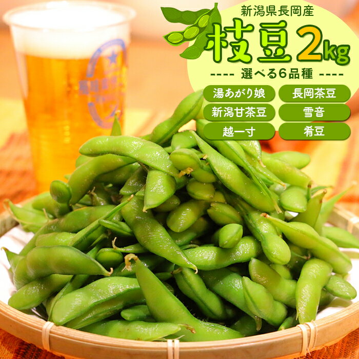 【ふるさと納税】枝豆 2kg 小分け 250g×8袋入り 品種が選べる 湯あがり娘 長岡茶豆 新潟甘茶豆 雪音 越一寸 肴豆 新潟 冷蔵配送 長岡産季節の枝豆2kg（250g×8袋入り）