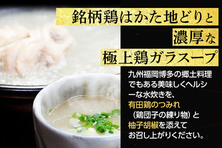 博多水炊き（はかた地どり切り身・つみれ）セット 4～6人前 お取り寄せグルメ お取り寄せ 福岡 お土産 九州 福岡土産 取り寄せ グルメ 福岡県