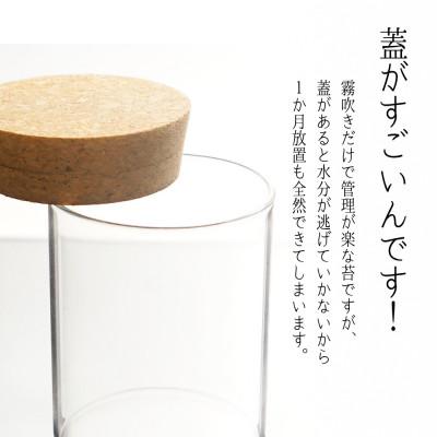 ふるさと納税 平谷村 【南信州平谷村 高原の苔】直径65mm ミニサイズ 苔テラリウム制作キット ミニチュアセット |  | 02