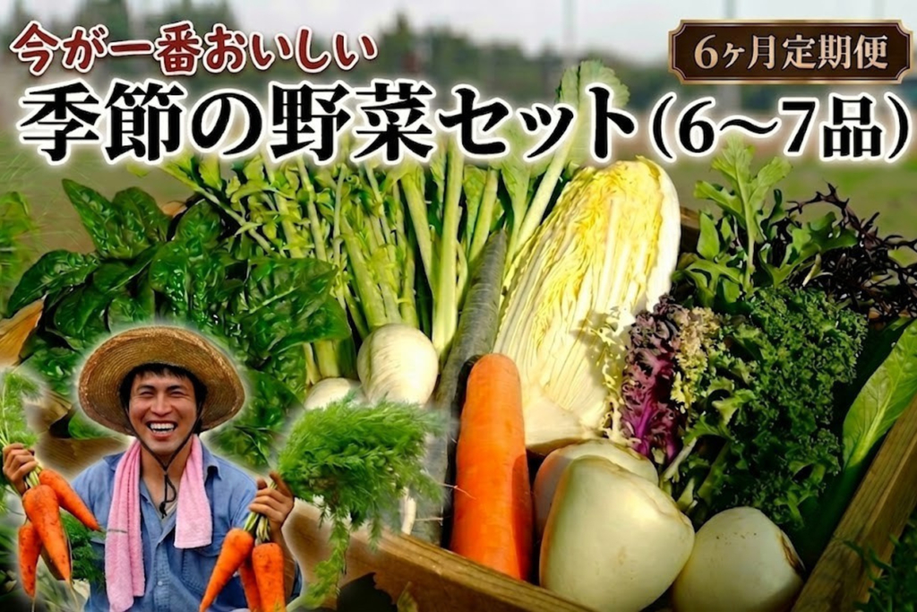 【定期便6回】季節の野菜セット（6～7品） 6ヶ月定期便