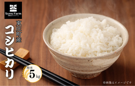 東庄町産　コシヒカリ　精米　5kg / 米 こめ コメ お米 おこめ コシヒカリ こしひかり 令和7年 白米 精米 ごはん 5kg 千葉県 東庄町 送料無料