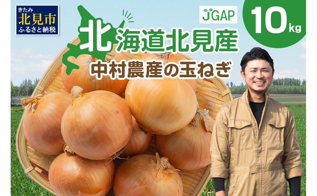 【予約：2025年9月下旬から順次発送】北海道北見産 玉ねぎ 10kg ( 野菜 たまねぎ タマネギ 玉葱 玉ねぎ 甘い Lサイズ 10キロ 玉ねぎ生産量日本一 )【002-0009-2025】