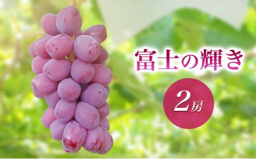 
            2026年産富士の輝き２房　 種なし 果物 ぶどう 葡萄 マスカット フルーツ 長野県 駒ケ根市 [№5659-1703]
          