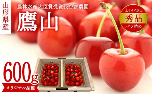 
            【希少数量限定】農林水産大臣賞受賞 長谷部農園 鷹山 600g バラ詰め 秀品 Lサイズ以上 桜桃 山形県産 さくらんぼ  《先行予約 2026年度6月発送開始》 FSY-2117
          