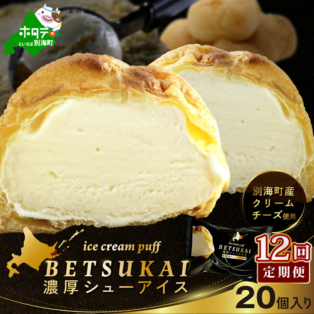 【ふるさと納税】【 12か月定期便 】 BETSUKAI 濃厚 シューアイス 20個 セット （ ふるさと納税 シュークリーム シューアイス ふるさと デザート アイス 北海道 別海町 人気 アイスクリーム スイーツ お菓子 訳あり ）