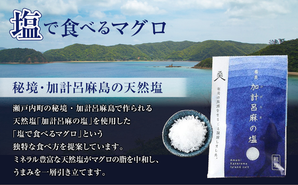 鹿児島県奄美大島産高級食材『黒いダイヤ』黒マグロ　Aセット