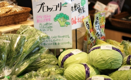 新鮮　季節の野菜　おまかせ詰め合わせセット　宮城県　東松島市　朝採り　野菜　産直