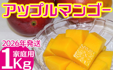 【2026年発送】　ご家庭で美味しく！アップルマンゴー約1kg【つは農園】 フルーツ 果物 期間限定 数量限定 先行予約 南国 プレゼント お土産 おみやげ ギフト くだもの 季節 おきなわ 青果 デザート おすすめ 人気 冷蔵 夏 スイーツ