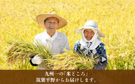 米 【特A】「元気つくし」5kg×1袋 [5kg] [玄米] [ABDF202] 令和7年産 米 ご飯 ごはん こめ コメ おにぎり 