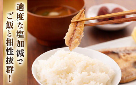 【全6回定期便】厳選 干物 セット [JAQ018] ひもの