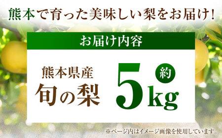 【先行予約】厳選おまかせ梨 約5kg 梨 豊水梨 秋月梨 新高梨 果物 フルーツ 【日本フルーツ株式会社】[ZFJ067]