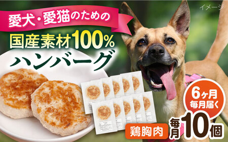 【全6回定期便】ペットフード 鶏むね 100%ハンバーグ 10個セット ペット 犬 猫 手作り 国産 てづくり こだわり ドッグフード  ドッグフード ペットフード 横須賀 【ペットフードYM japan】 [AKEX008]
