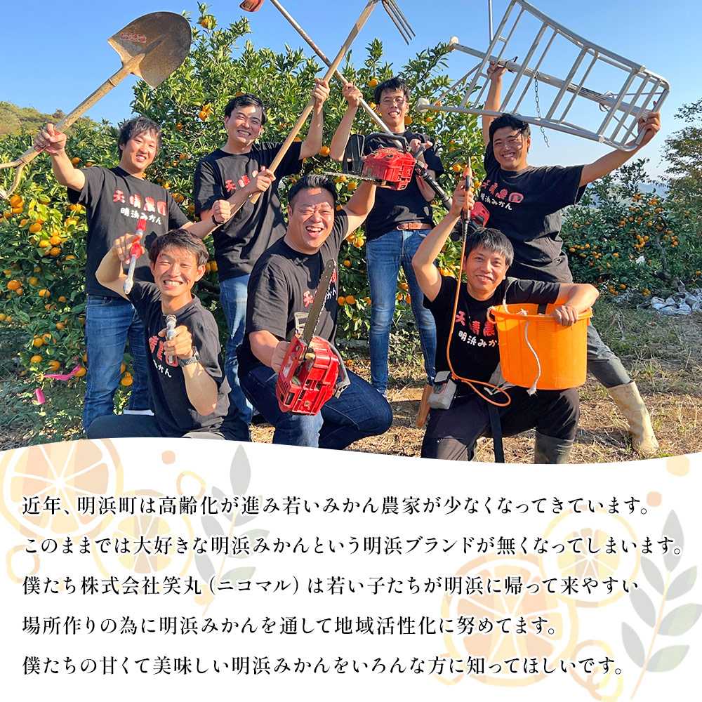 ＜愛媛県明浜産 天晴みかん（温州みかん）約15kg＞ 家庭用 訳あり ワケアリ 自宅用 果物 くだもの フルーツ ミカン 柑橘 特産品 産地直送 笑丸 愛媛県 西予市