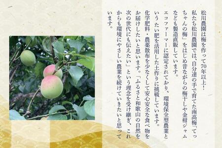 てっちゃんの梅(しそ漬け梅) A-025
