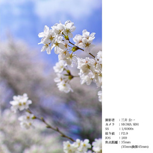 SIGMA 30mm F1.4 DC HSM | Art ニコンFマウント用（数量限定）