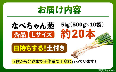 【先行予約】【2025年11月発送開始】焼いてそのまま美味しい！なべちゃん葱（土付き）秀品 Lサイズ5kg（約20本） ねぎ ネギ 島根県雲南市/山さんファーム [AICO002]