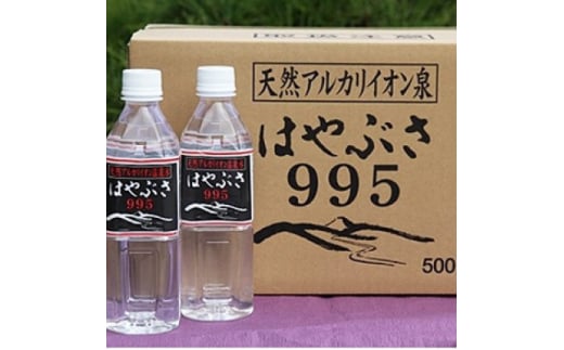 ＜毎月定期便＞りょう泉はやぶさ　995〈500ml×24本〉全3回【4058671】