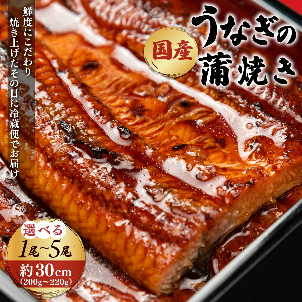 【ふるさと納税】こだわりの「国産うなぎの蒲焼き」選べる1尾～5尾 特上 うなぎ 蒲焼 ウナギ 鰻蒲焼き うなぎ蒲焼き 1尾 2尾 3尾 4尾 5尾 人気 国産 浜名湖 うなぎ 関西 鰻蒲焼 養殖 冷蔵 ギフト ご褒美 人気 京都　京都府 福知山市