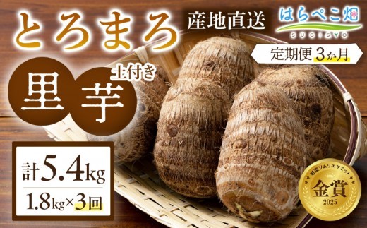 【定期便3ヶ月】里芋『とろまろ』土付き 1.8kg・H135-330