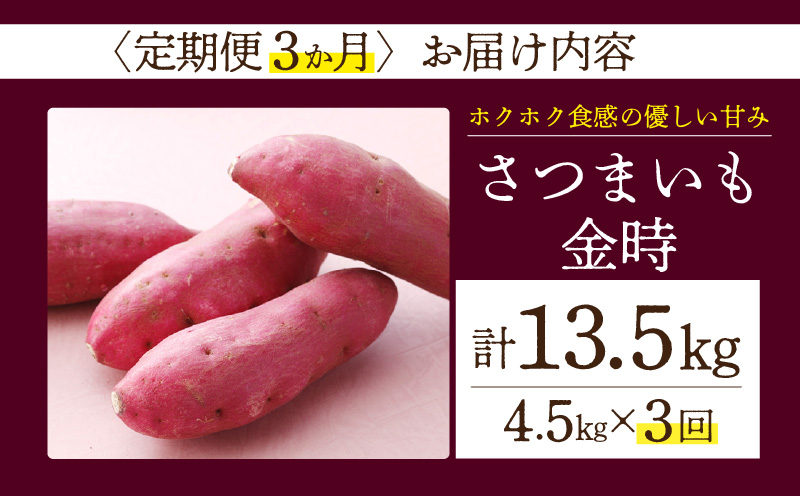 【定期便3ヶ月】さつまいも 金時 4.5kg・H131