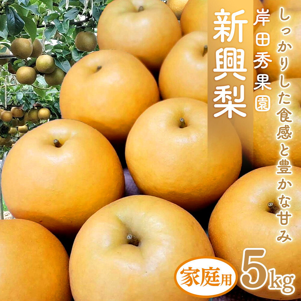 【ふるさと納税】梨 新興梨 (自家用)5kg 岸田秀果園 10月頃お届け | 梨 新興梨 なし 鳥取県 5kg おすすめ おいしい 果物 くだもの フルーツ
