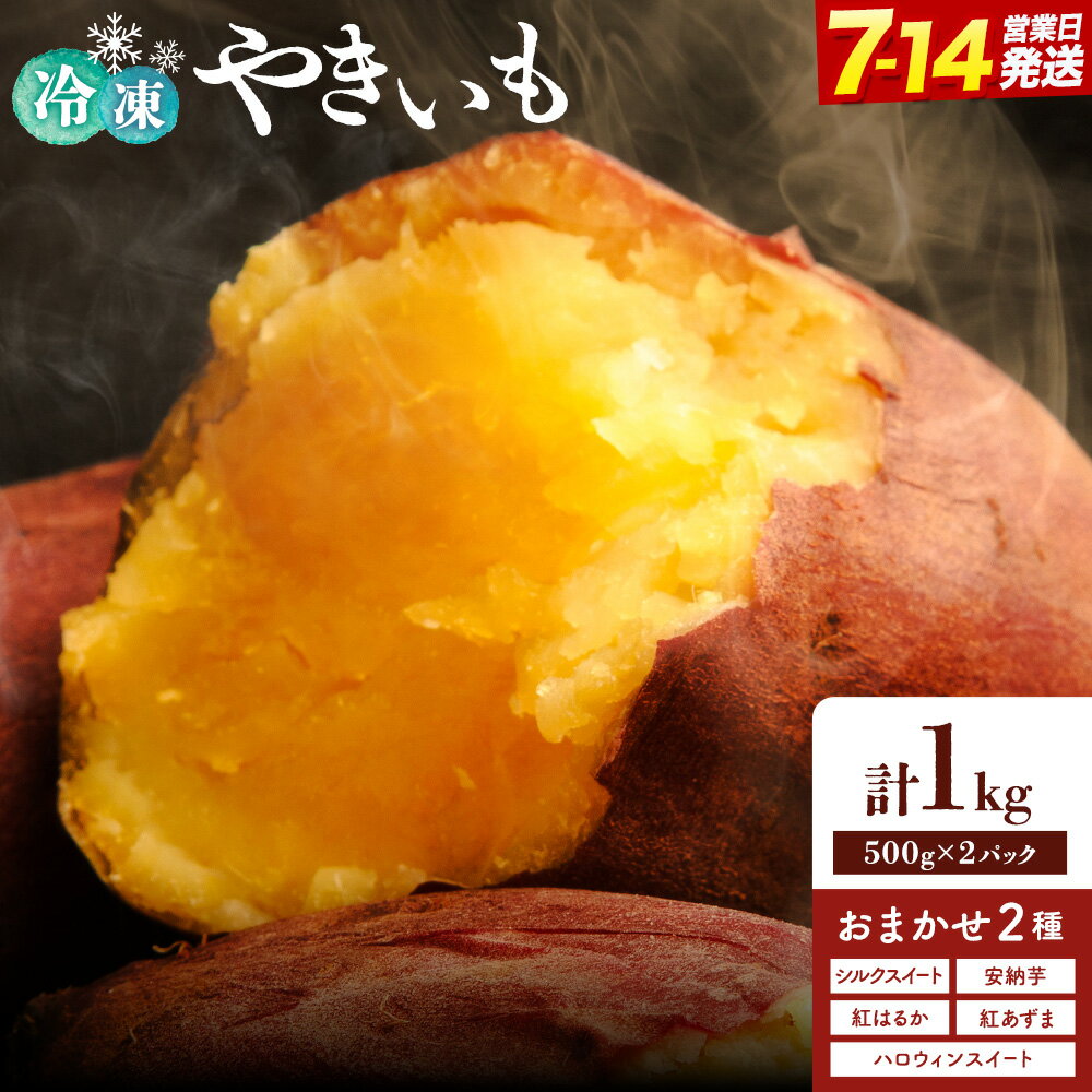 【ふるさと納税】冷凍焼きいも 約1kg 2品種 食べ比べ セット 真空パック のざわ農園 詰め合わせ 紅はるか シルクスイート 安納芋 紅あずま 北海道 日高町産 焼き芋 やきいも お菓子 スイーツ 離乳食 産地直送 常備 備蓄 送料無料 《7-14日以内に出荷予定(土日祝除く)》