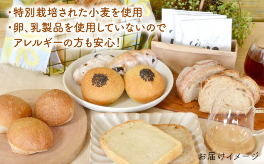 【 全6回 定期便 】栽培期間 農薬 科学肥料 不使用 小麦 と ブラン の パン セット & UNIDOS 珈琲 5杯分 ( 卵 / 乳製品 不使用 )《糸島》【天然パン工房楽楽】 【いとしまごころ
