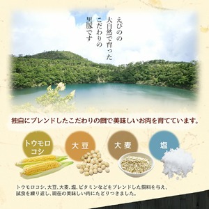 えびの純粋 黒豚お肉セット (肩ロース368g・ロース300g) 合計668g 焼肉 豚肉 お肉 ギフト 贈り物 お礼 お祝い 高級 宮崎県えびの市産 冷凍 送料無料