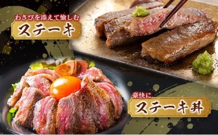 【令和7年12月配送】【畜産農家応援】配送月が選べる 宮崎牛 ロースステーキ (250g×2枚) 500g 肉 牛肉 黒毛和牛 ロース ステーキ サーロイン リブロース 和牛 国産 焼肉 BBQ 人気