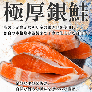 【スピード配送】 極厚 銀さけ 真空包装 6切 （ 2切入 × 3パック ） さけ