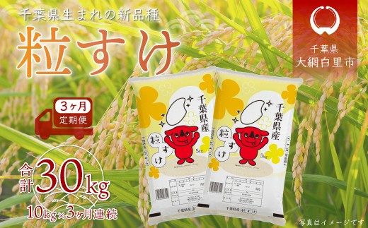 ＜3ヶ月定期便＞ 令和7年産 千葉県産「粒すけ」10kg×3ヶ月連続 計30kg ふるさと納税 米 定期便 10kg 粒すけ 千葉県 大網白里市 送料無料 A031