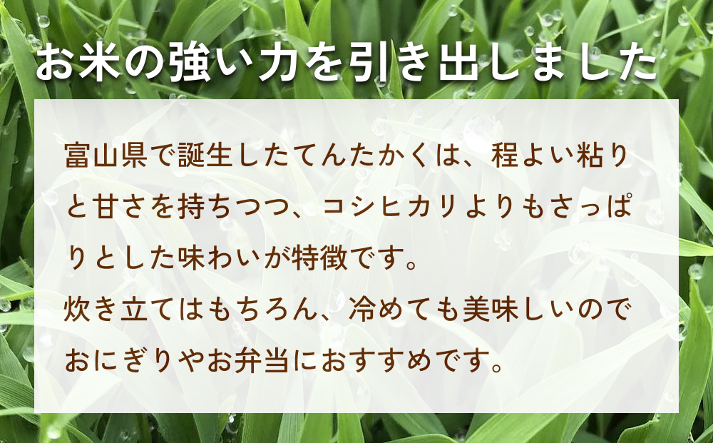 令和6年産 富山県氷見産 てんたかく 玄米 5kg 富山県 氷見市 