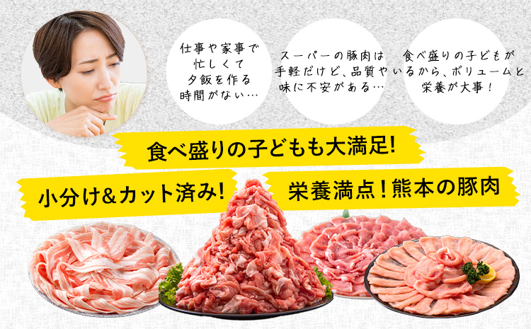 豚肉 うまか ポーク バラエティ セット 2.4kg 豚肉 しゃぶしゃぶ 切り落とし 豚ロース バラ 豚バラ スライス 以上 定期便 真空 不揃い 数量限定 簡易包装 冷凍配送 小分け 《年内にお届け