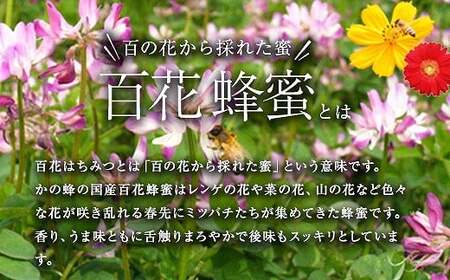 かの蜂 国産 百花蜂蜜 1kg（とんがり容器500g×2本）養蜂一筋60年自慢の一品 024-019