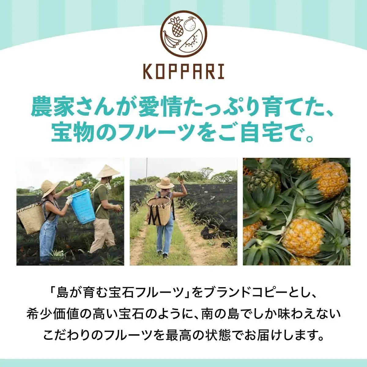 【2回定期便】石垣島産パイナップル 約4kg ・マンゴー約1kgセット KP-21