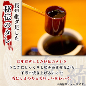 うなぎ蒲焼 4尾 ハーフカット8枚 国産うなぎ 冷凍